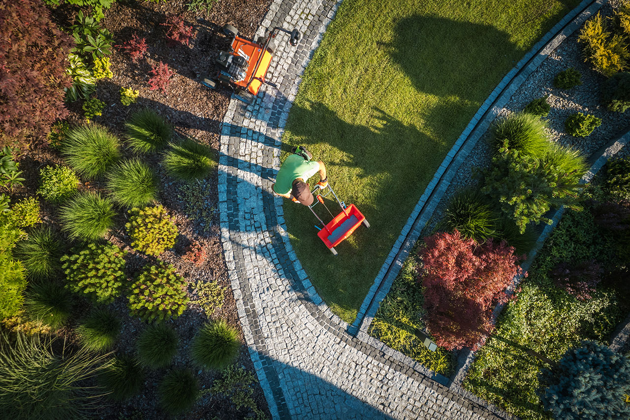 Fertilizing Residential Backyard Lawn
